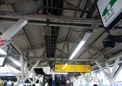 Pa010515.jpg