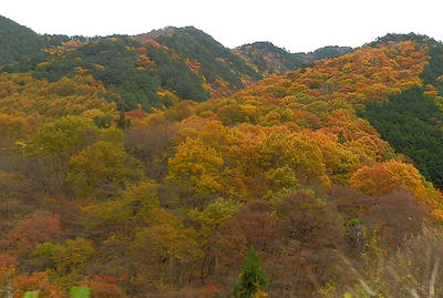 Pb050590.jpg