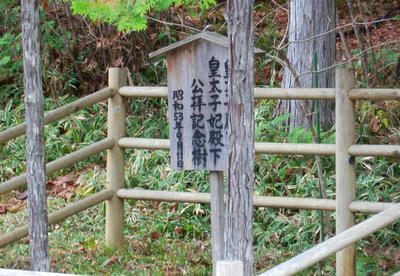 Pb050613.jpg