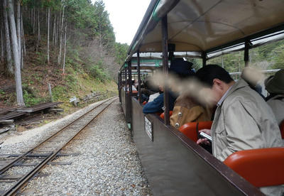 Pb050611.jpg