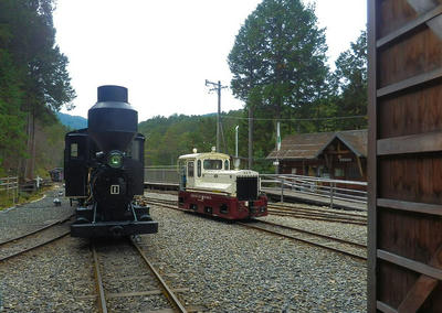 Pb050655.jpg