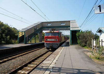 P6261410a.jpg