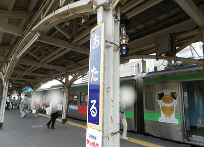 P7311528.jpg