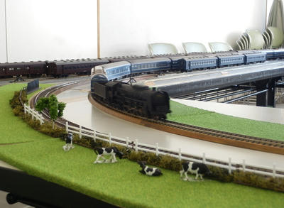 P8191665.jpg