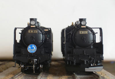 Pa061910a.jpg