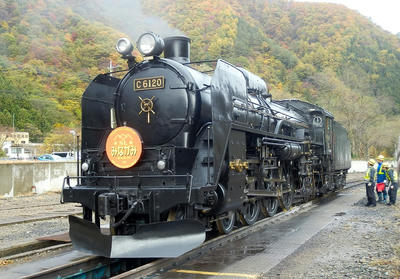 Pb100085a.jpg