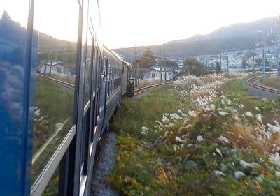 Pb100118a.jpg