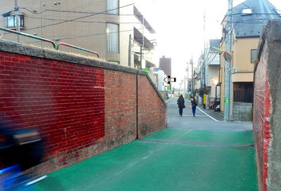 P2020216a.jpg