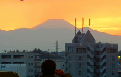 P2020220a.jpg