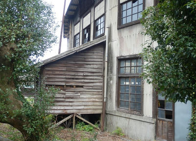 P2260265a.jpg