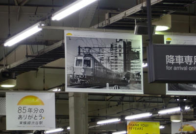 P3150293a.jpg