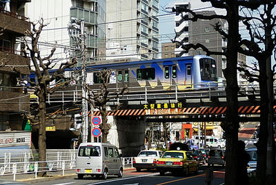 P3150337a.jpg