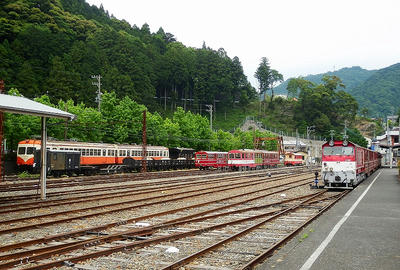 P6010477a.jpg