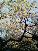 DVC00024.JPG