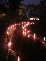 DVC00005.JPG