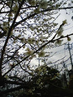 20090228151516.jpg