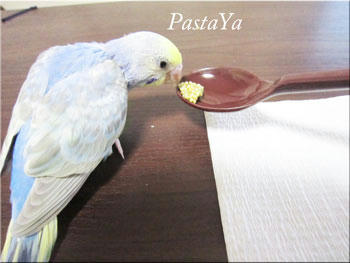 pastaya-blog122.jpg