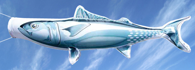 魚図鑑シリーズ（こいのぼり） 