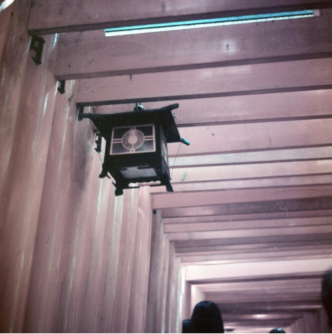 千本鳥居