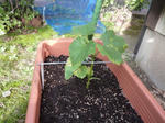 P1050033.jpg