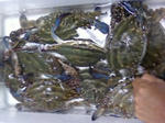 e80f402d.jpg
