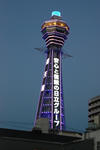 DSC_23987364.jpg
