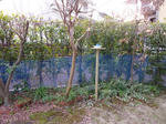 P1100199.jpg