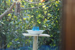 DSC_25217487.jpg