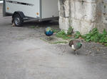 besancon3.JPG