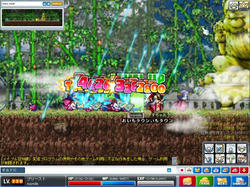 Maple0128.jpg