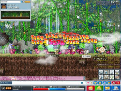 Maple0133.jpg
