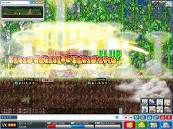 Maple0155.jpg