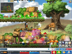 Maple0156.jpg