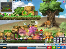 Maple0157.jpg