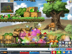 Maple0158.jpg