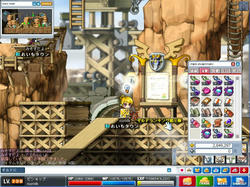 Maple0213.jpg