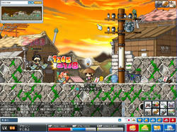 Maple0211.jpg