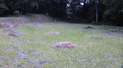 ad35bd64.jpg
