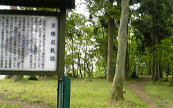 b29b36b1.jpg