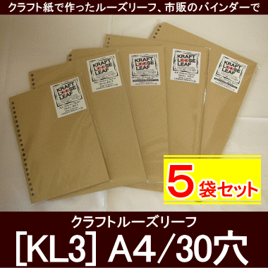 クラフトルーズリーフ A4/30穴