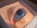 RIMG0051.JPG
