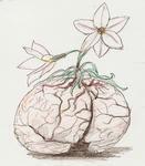SCAN0188.JPG