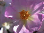 RIMG0340.JPG