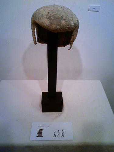 TS3G0104.JPG