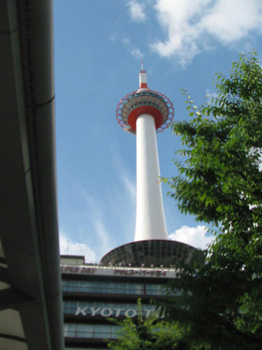 IMG_3364-2jpg.jpg