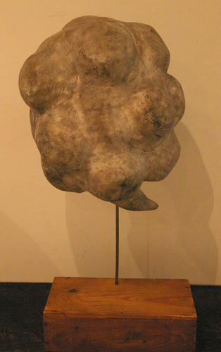 IMGP6310.jpg