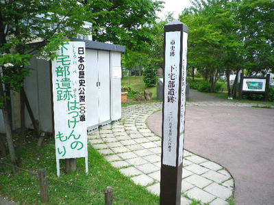 IMGP2287.jpg
