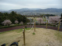 DSC00159-1.jpg