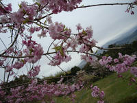 DSC00168-1.jpg