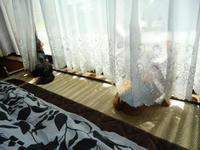 DSC00292-1.jpg